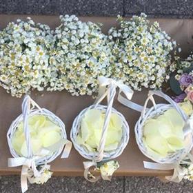 fwthumbwedding box.jpg
